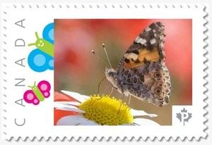 SCHMETTERLING on Daisy = Bild Briefmarke postfrisch Kanada 2019 [p19-01-s27] - Bild 1 von 2
