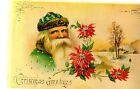 Christmas Greetings, Santa in Green, Poinsettias Reprod. Postcard