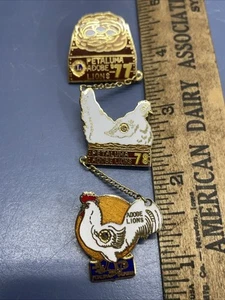Vintage 1977 1978 1979 Petaluma Adobe Lions Club Pins Cool Set Of Three �� - Bild 1 von 5
