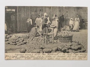 Chilean Customs Market Scene Santiago Chile c1900s VTG Adolfo Conrads Postcard - Picture 1 of 2