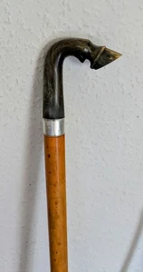 Edwardian horn carved horse hoof walking stick - Picture 1 of 14
