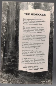 PC-4543**Vtg. PC 1949**The Redwoods** Joseph Baermann Strauss - Picture 1 of 2