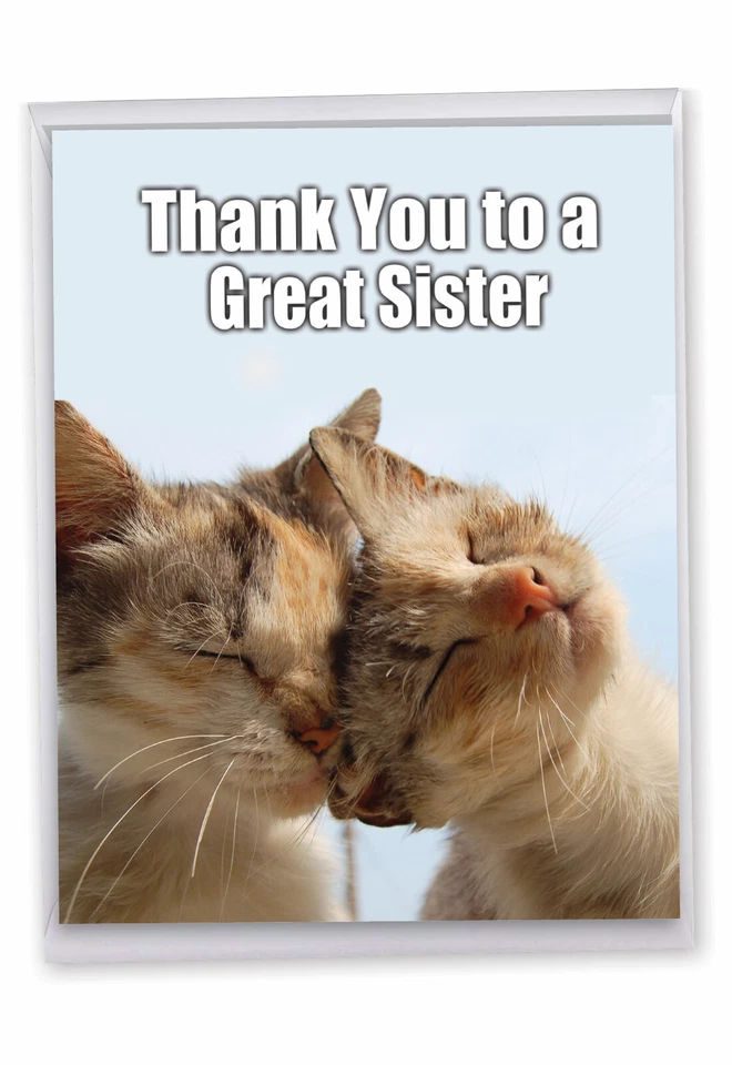1 tarjeta de felicitación grande y divertida de agradecimiento - Gratitud a una gran hermana J9111 Foto 1 de 4