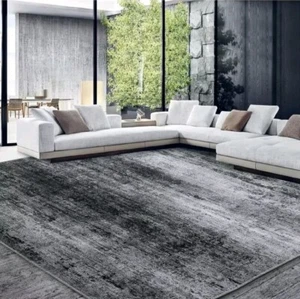 Modern Area Rug for Living Room Bedroom 6X9, Boho Floor Carpet with Non-Slip Bac - Picture 1 of 5