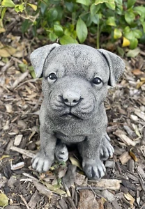 Staffy Staffordshire Dog Memorial Statue Concrete Garden Australian Made Small - Picture 1 of 6
