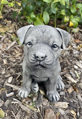 Staffy Staffordshire Dog Memorial Statue Concrete Garden Australian Made Small - image 1 of 4
