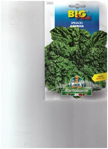 SPINACIO RICCIO AMERICA BIG PACK - SEMI ORTICOLI - - Picture 1 of 2