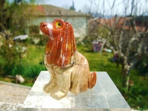 - Tiere in Stein graviert - HUND COCKER - Bild 1 von 1