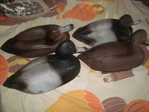 Lot #21 Rubber Inflatable 14" Blue Billed Decoy Ducks 2 Hens 2 Drakes - Picture 1 of 4