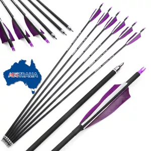 12X 31" Carbon Arrows Turkey Feather SP500 Archery Recurve Compound Bow Hunting - Picture 1 of 11
