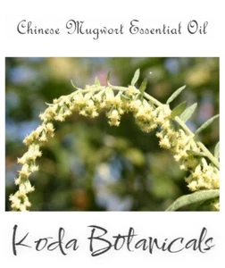 CHINESE MUGWORT (Artemisia verlotiorum) 100% Pure Essential Oil 10ml - Imagen 1 de 2