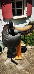 Damensattel / Sidesattel, W. Wilhelmy Wien, Restaurationsobjekt, antik! :) - Zdjęcie 1 z 19