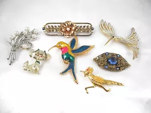 Menge Vintage Strass Kolibri Vögel, Blumenmuster, Laufvogel Brosche, Hundebrosche - Bild 1 von 9