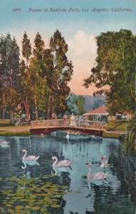 Swans at East Lake Park - Los Angeles, California - litografia non spedita - Foto 1 di 3