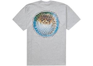 Supreme Blowfish Tee • Ash Grey • XXL • SS23 Week 18 • Brand New Sealed - Bild 1 von 3