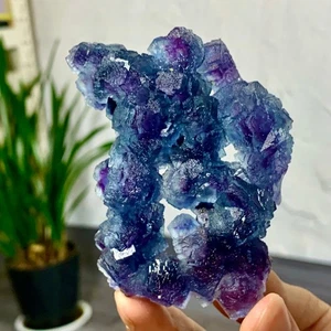 171G naturale raro blu viola cubico fluorite campione cristallo minerale/Cina - Foto 1 di 20