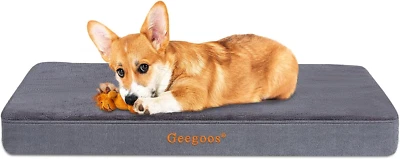 Letto per cani in memory foam, misura media, lavabile con cerniera rimovibile, f - Immagine 1 di 4