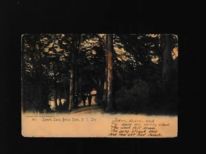 1905 Post Card Undivided Back Lover's Lane Bronx Park New York City - Picture 1 of 2