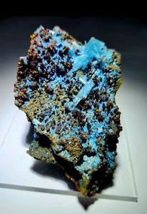 ***GRAN Cristales de Hemimorfita Azul Teñidos en Matriz, Mina Ojuela México*** - Imagen 1 de 9