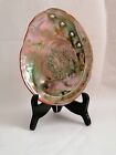 Large Abalone shell Pacific Mother of Pearls - rare find coral peach color
