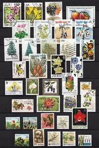 101383/ Blumen und Pflanzen - schönes Lot - o - nichts gerechnet - siehe scan - Picture 1 of 1