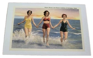 Where Beauty and Nature Combine Galveston Texas Postcard Women Bathing Suits - Picture 1 of 2