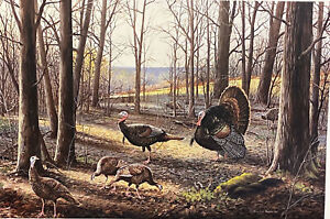 Maynard Reece Signed/Numbered Art Print Early Spring-Wild Turkeys (30"x20")