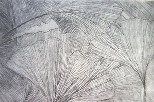 Kaltnadel-Radierung „Ginkgo“, Original, signiert T. Ehmke 2024 - Bild 1 von 4