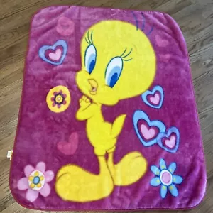 Looney Tunes Vintage Baby Blanket Tweety Bird Plush Fleece Pink Hearts Flowers - Picture 1 of 5