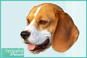 Calcomanía de vinilo cabeza de águila calcomanía coche camión perro pegatina - Imagen 1 de 1