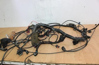 Arnés de cableado Polaris Sportsman 850 XP 2009 dirección asistida eléctrica Foto 1 de 4