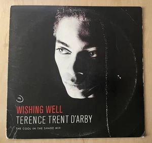 TERENCE TRENT D'ARDY WISHING WELL 1987 LP (VG/VG) - Picture 1 of 4