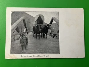 On The Bridge, Burnt River, Oregon Postcard ~ Ezra Meeker Covered Wagon Oxen Dog - Picture 1 of 2