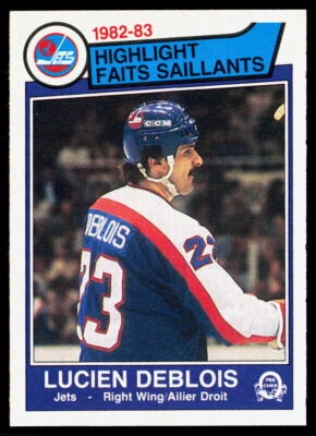 Lucien DeBlois 1983-84 O-Pee-Chee #378 NMT - Image 1 of 2