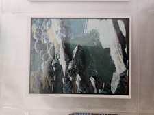 Weet bix card Timeless Japan Year 1975 No 10 Garden of the Samboin temple