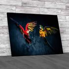 Vibrant Parrot Conflict Striking Display Canvas Print Large Picture Wall Art
