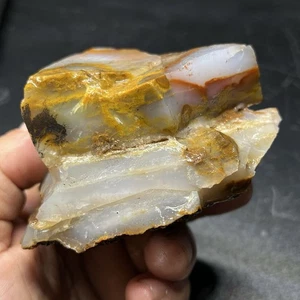 1lb 2oz Polka Dot Agate. Madras Oregon Lapidary Rough For Cabbing #35 - Picture 1 of 10