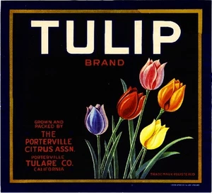 Porterville Tulare County Tulip Flowers Orange Citrus Fruit Crate Label Print - Bild 1 von 1