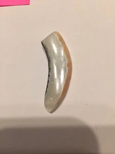 Yellow Smithsonite Gemstone Natural Shape For Jewelry Pendant Bead Collection - Picture 1 of 6