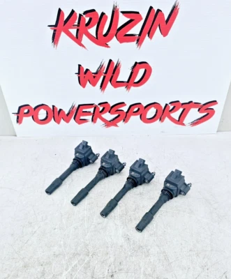 Juego de 4 bobinas de encendido motor BMW 430i serie 4 2014-2020 Foto 1 de 4