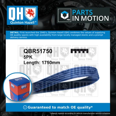 5 Rib Multi V Drive Belt fits RENAULT LOGAN Mk1 1.6 04 to 09 K7M710 QH Quality - Image 1 of 4