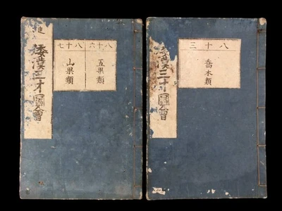 Старинный японский ксилограф гравюры словарь медицины Кампо набор из 2 EDO эпохи - Изображение 1 из 4