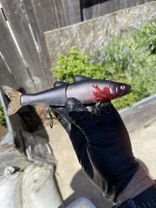 Garra de cebo deslizante pintada personalizada 178 Premium en blanco cromo sábalo cola marrón sangre - Imagen 1 de 8