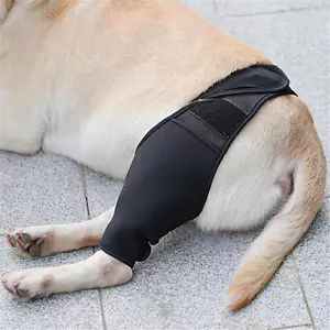 Dog Knee Brace Leg Brace for Sprain ACL Arthritis Joint Pet Dog Back Leg Support - Picture 1 of 15