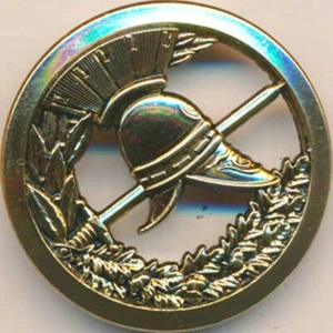 Insigne de béret, OFFICIER EXPERT, 2 pontets, Beraudy (11181) - Picture 1 of 2