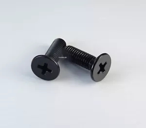 Offizielle Roland ""für CM-30" Ständerhalterung Halter Schrauben / SCHRAUBE M5X16/2 Stück. - Bild 1 von 2