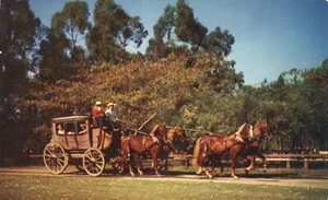 Postkutsche Geisterstadt Knoten Berry Farm Kalifornien 1960 Postkarte - Bild 1 von 2