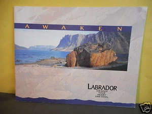 Labrador Awaken Your Heart and Soul - Bild 1 von 6