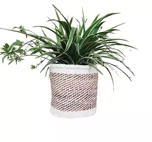 African Kiondo Basket Woven Sisal Storage Planter Kenyan Made Size 8 in /20.3 cm - Picture 1 of 7