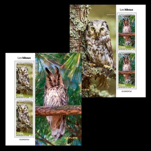 Owls MNH Stamps 2024 Guinea 2 M/S - Picture 1 of 3